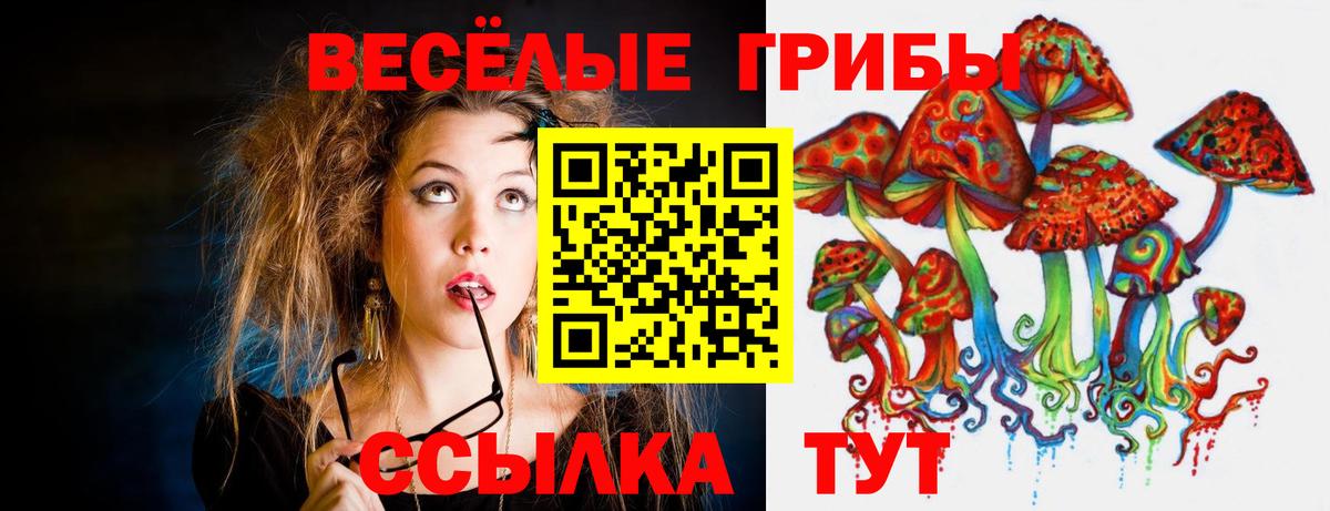 Псилоцибиновые грибы ЛСД Мелеуз